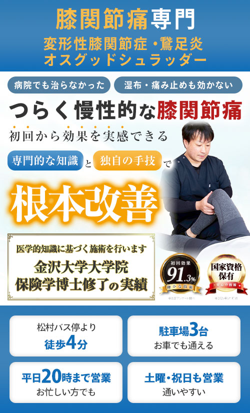 ファーストビュー膝