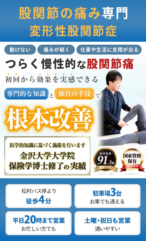 ファーストビュー股関節